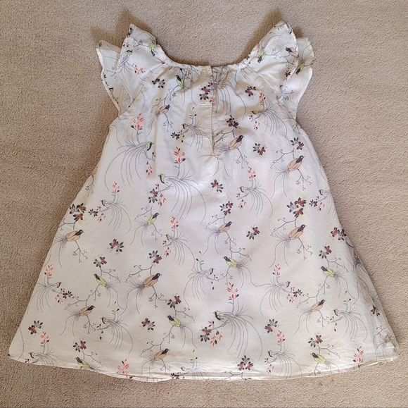 Gap Baby Girl Cream Flutter Sleeve Bird Dress Size 18-24 Months - Picture 2 of 6